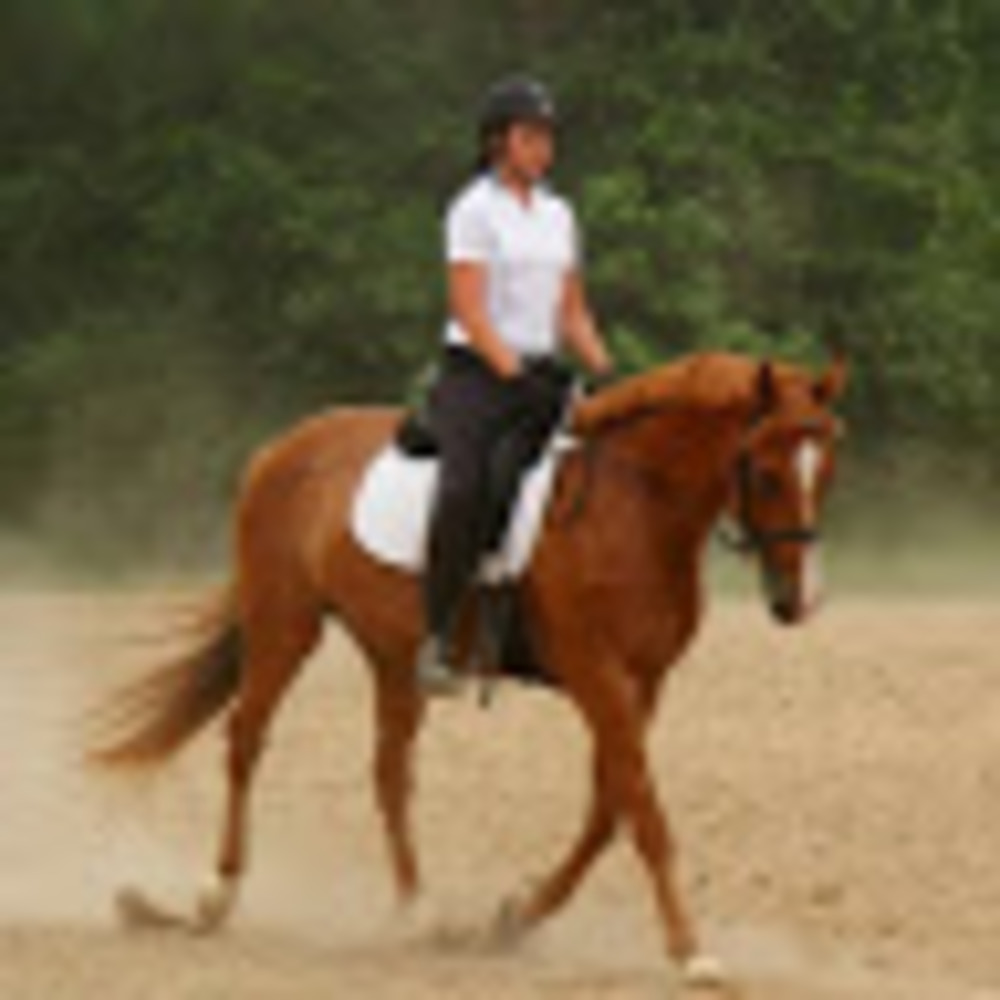 Meet your Posher, Grace